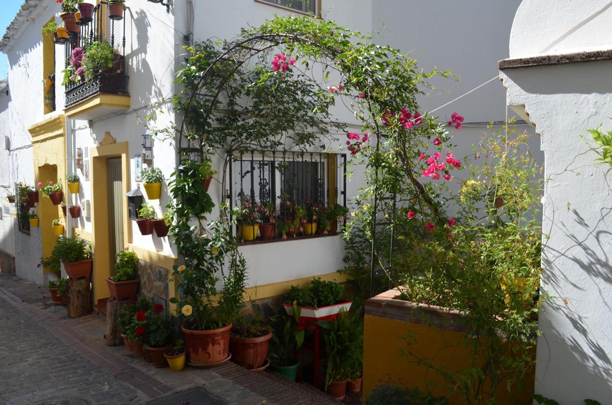 Finca El Molino De Aceite Jubrique Εξωτερικό φωτογραφία