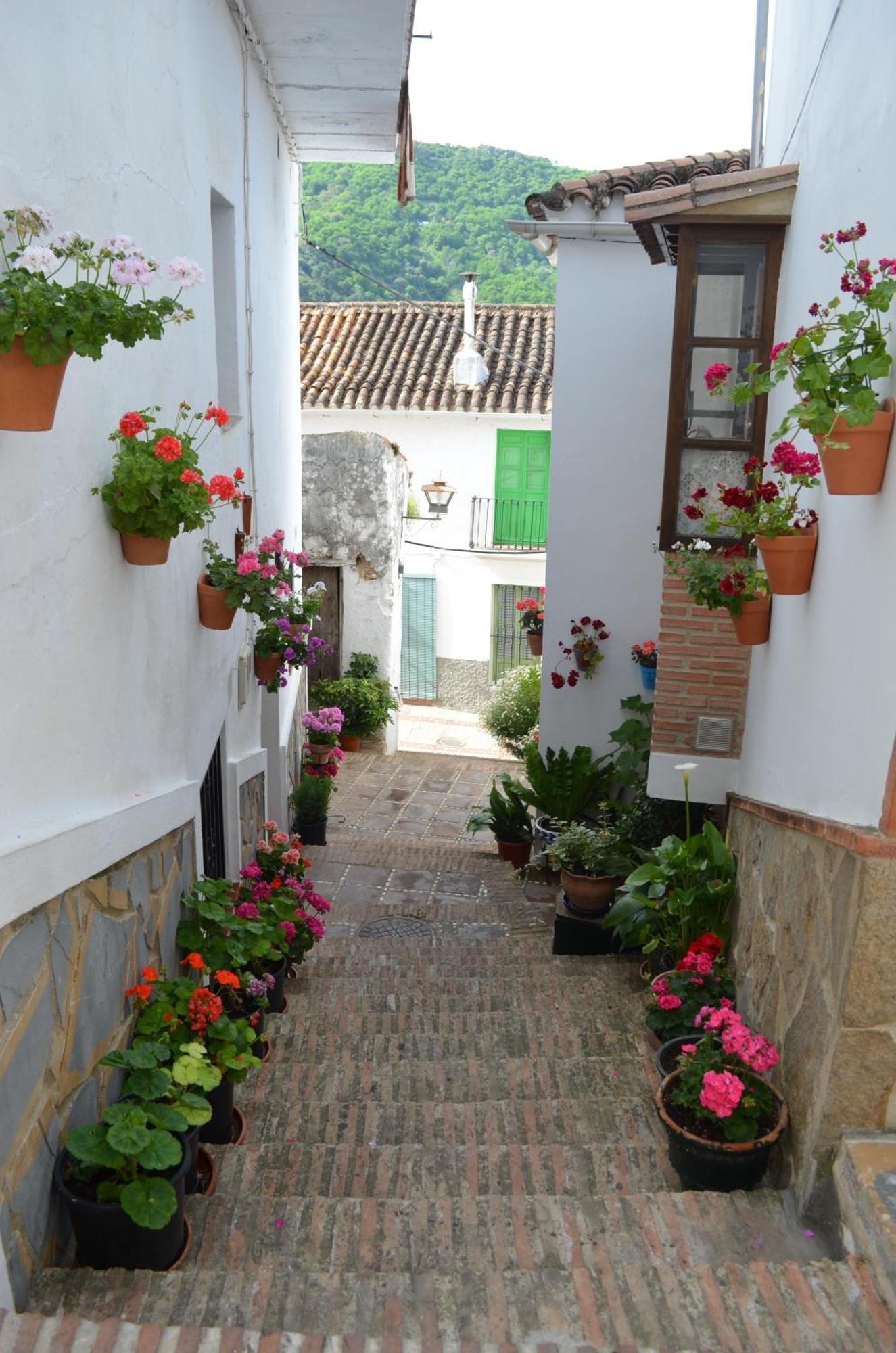 Finca El Molino De Aceite Jubrique Εξωτερικό φωτογραφία