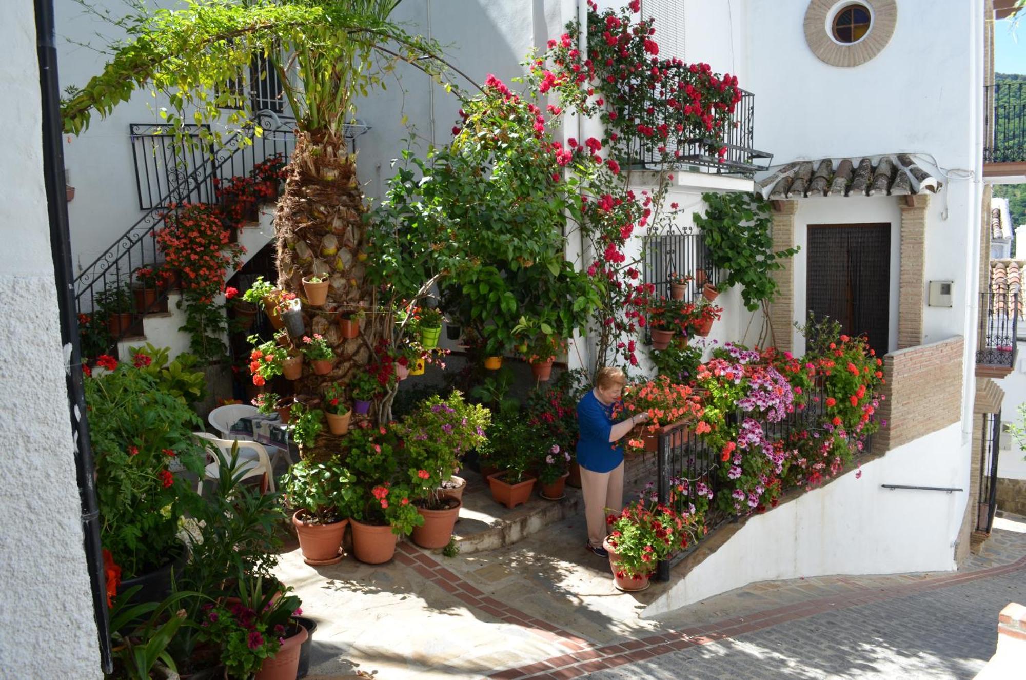 Finca El Molino De Aceite Jubrique Εξωτερικό φωτογραφία